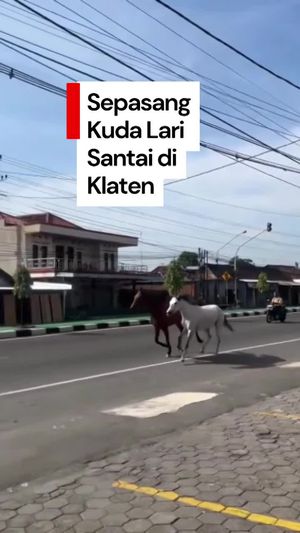 Video: Sepasang Kuda Berlarian di Jalan Raya Solo-Jogja Bikin Heboh