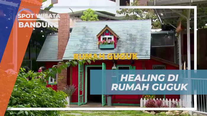 Mengunjungi Rumah Guguk di Bandung untuk Berinteraksi dan Bermain Bersama Anjing Menggemaskan  