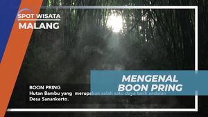 Menemukan Keunikan Boon Pring di Malang