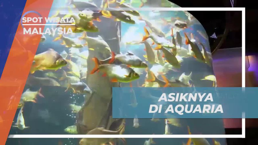 Merasakan Asiknya Berada di Aquaria, Malaysia
