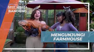 Mengunjungi Farmhouse di Bandung dan Bermain dengan Hewan-Hewan Jinak yang Menggemaskan