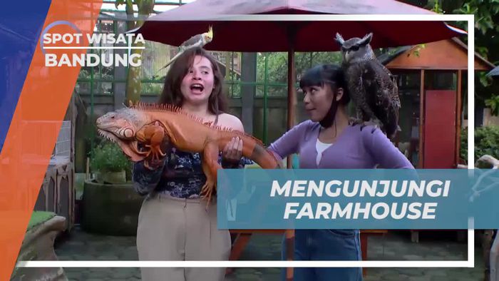 Mengunjungi Farmhouse di Bandung dan Bermain dengan Hewan-Hewan Jinak yang Menggemaskan