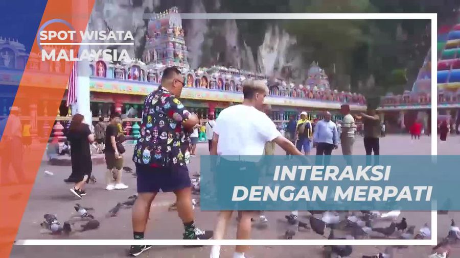 Berinteraksi dengan Merpati di Sekitar Batu Caves, Malaysia