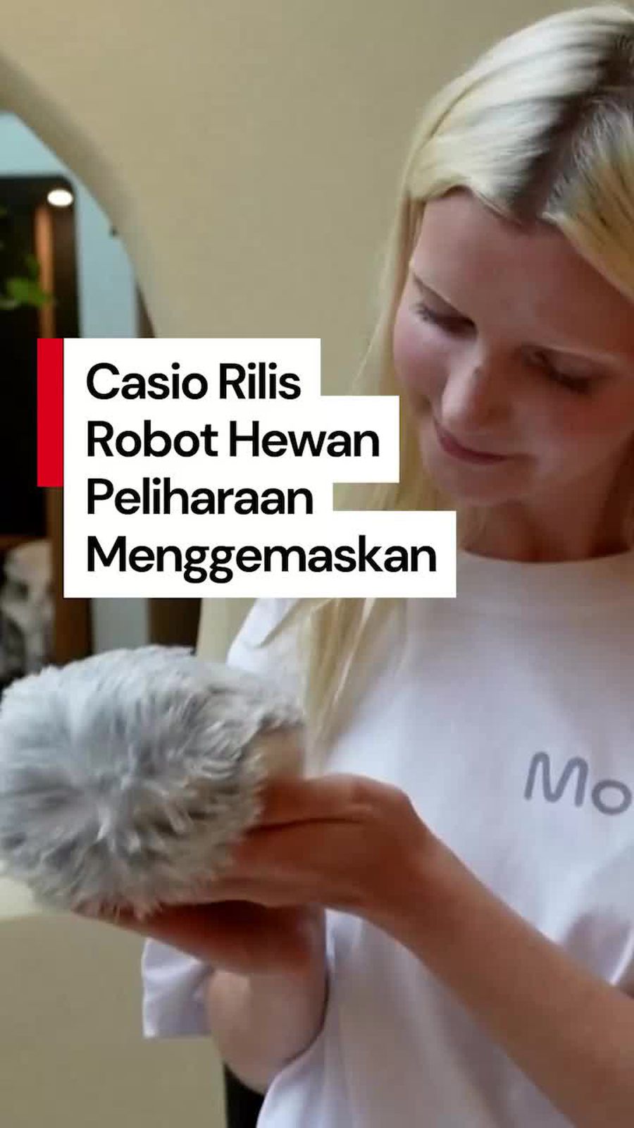 Video: Gemasnya Robot Hewan Peliharaan Buatan Casio