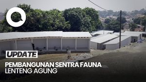 Video: Mengintip Sentra Fauna Lenteng Agung Tempat Relokasi Pasar Barito