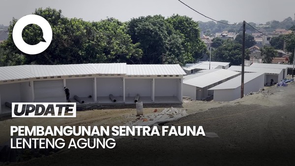 Video: Mengintip Sentra Fauna Lenteng Agung Tempat Relokasi Pasar Barito