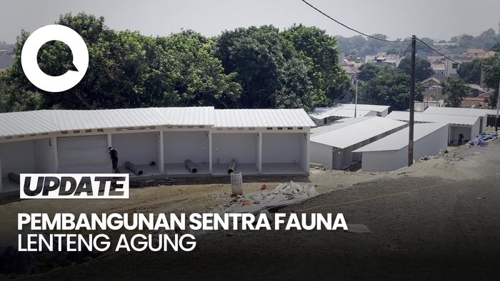 Video: Mengintip Sentra Fauna Lenteng Agung Tempat Relokasi Pasar Barito