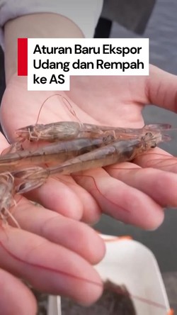 Video: AS Terapkan Aturan Baru untuk Udang dan Rempah Indonesia 