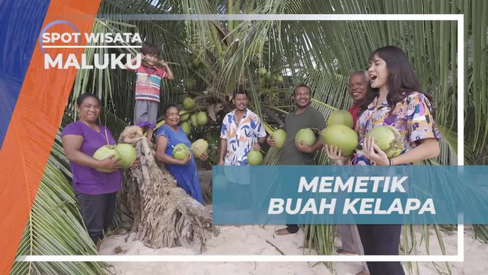 Memetik Buah Kelapa di Maluku
