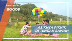 Menikmati Kegiatan Piknik di Tengah Sawah yang Indah di Bogor  