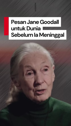 Video Pesan Terakhir Jane Goodall Singgung Gelapnya Dunia Saat Ini