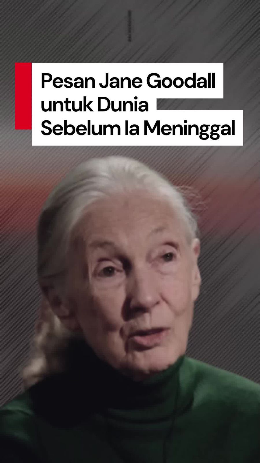 Video Pesan Terakhir Jane Goodall Singgung Gelapnya Dunia Saat Ini Video Pesan Terakhir Jane Goodall Singgung Gelapnya Dunia Saat Ini