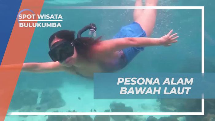 Menyelam dan Snorkeling untuk Menikmati Keindahan Bawah Laut di Pantai Bulukumba  