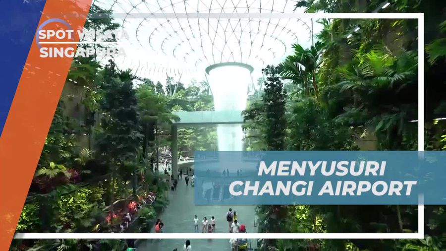 Menyusuri Keindahan Changi Airport di Singapura Menyusuri Keindahan Changi Airport di Singapura