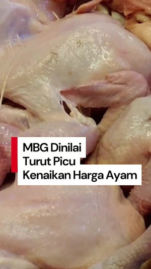 Video: Celios Sebut Kenaikan Harga Daging Ayam Imbas Diborong untuk MBG