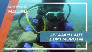 Menjelajah Laut Bumi Morotai, Maluku