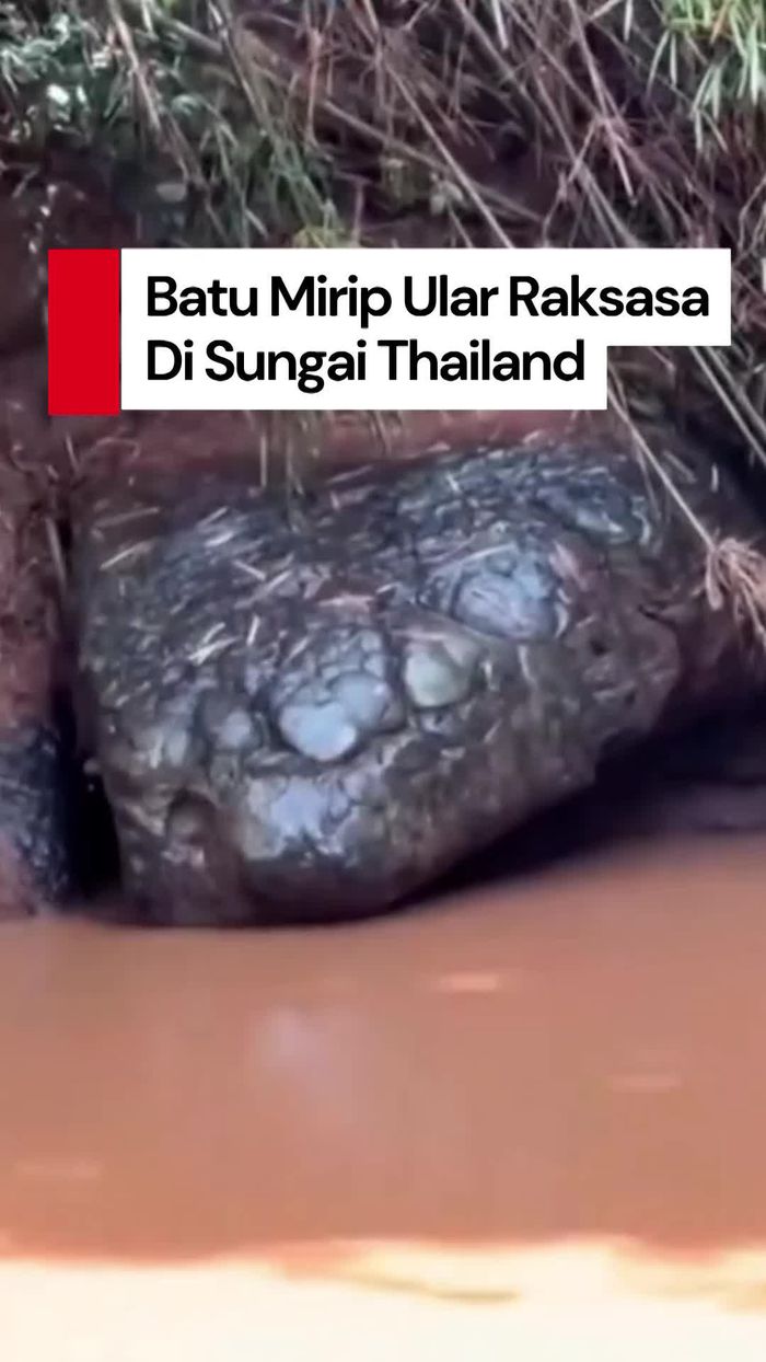 Video: Melihat Batu Mirip Ular Raksasa yang Viral di Thailand