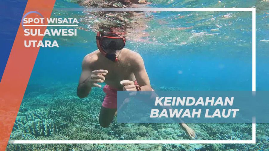 Menyelami Keindahan Bawah Laut Pulau Lihaga di Sulawesi Utara