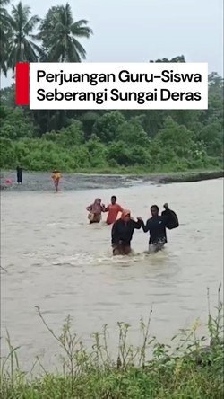 Video: Guru-Siswa di Pasangkayu Bertaruh Nyawa Seberangi Sungai Deras