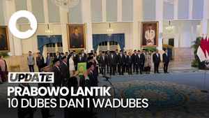 Video Prabowo Lantik 10 Dubes dan 1 Wadubes RI di Istana, Berikut Daftarnya