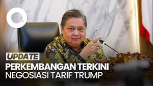 Video: Airlangga Ungkap Negosiasi Tarif Trump Rampung 2 Minggu Lagi