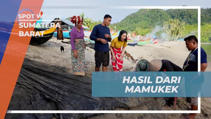 Menarik Pukek dan Mengumpulkan Hasilnya di Mamukek, Sumatera Barat