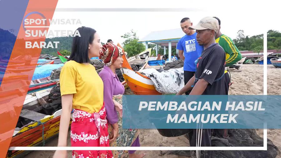 Membagi Hasil Mamukek Secara Adil di Nagari Sungai Pinang, Sumatera Barat Membagi Hasil Mamukek Secara Adil di Nagari Sungai Pinang, Sumatera Barat