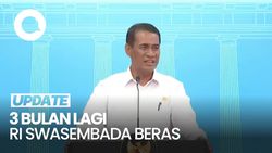 Video Mentan Optimistis 3 Bulan Lagi RI Swasembada Beras