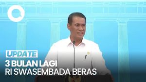 Video Mentan Optimistis 3 Bulan Lagi RI Swasembada Beras