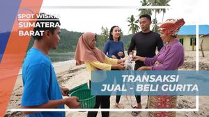 Menjalani Transaksi Jual-Beli Gurita yang Unik di Nagari Sungai Pinang, Sumatera Barat