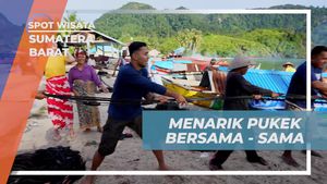 Menarik Pukek Bersama Warga di Pantai Nagari Sungai Pinang, Sumatera Barat