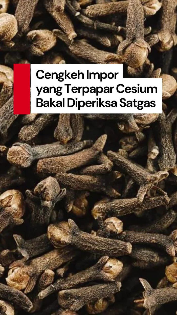 Video Satgas Bakal Cek Cengkeh Impor AS yang Terkontaminasi Cesium-137