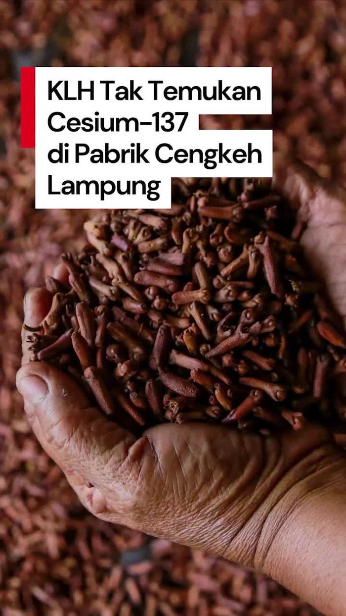 Video: KLH Tak Temukan Cesium-137 di Pabrik Cengkeh Lampung-Surabaya
