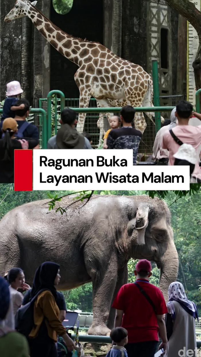  Video: Info Lengkap Terkait Wisata Malam Ragunan