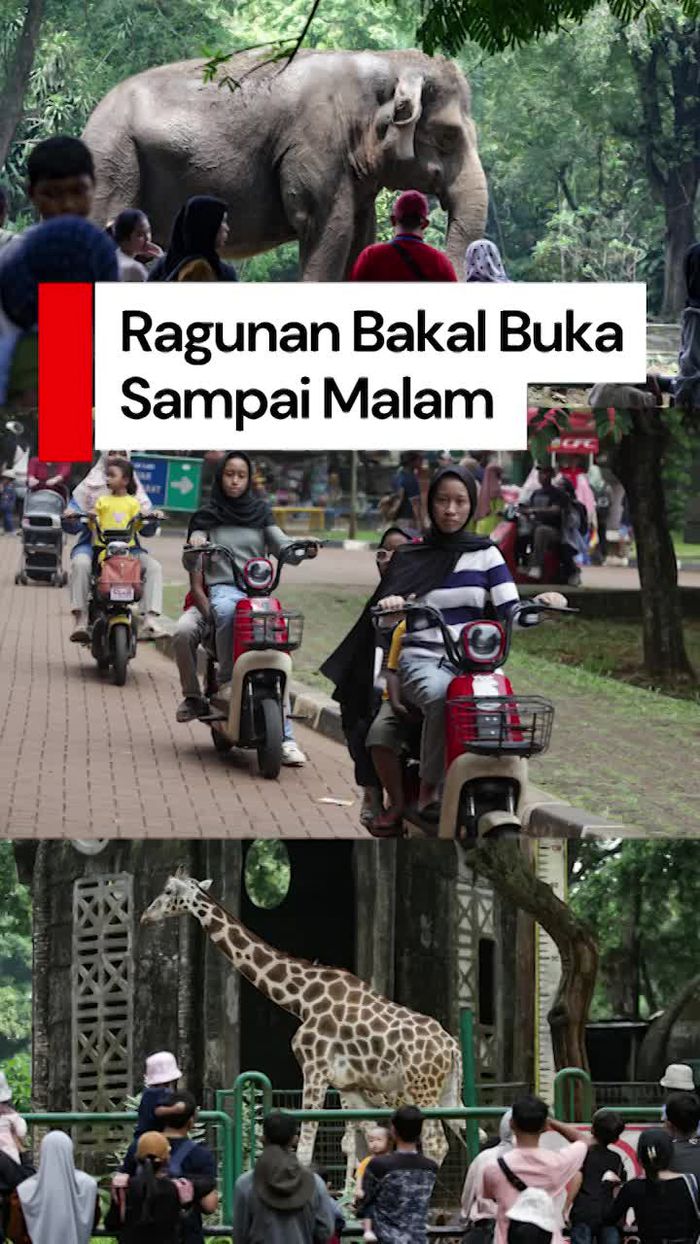 Video Pramono: Ragunan Buka Sampai Malam di Hari Sabtu, CCTV Diperbanyak