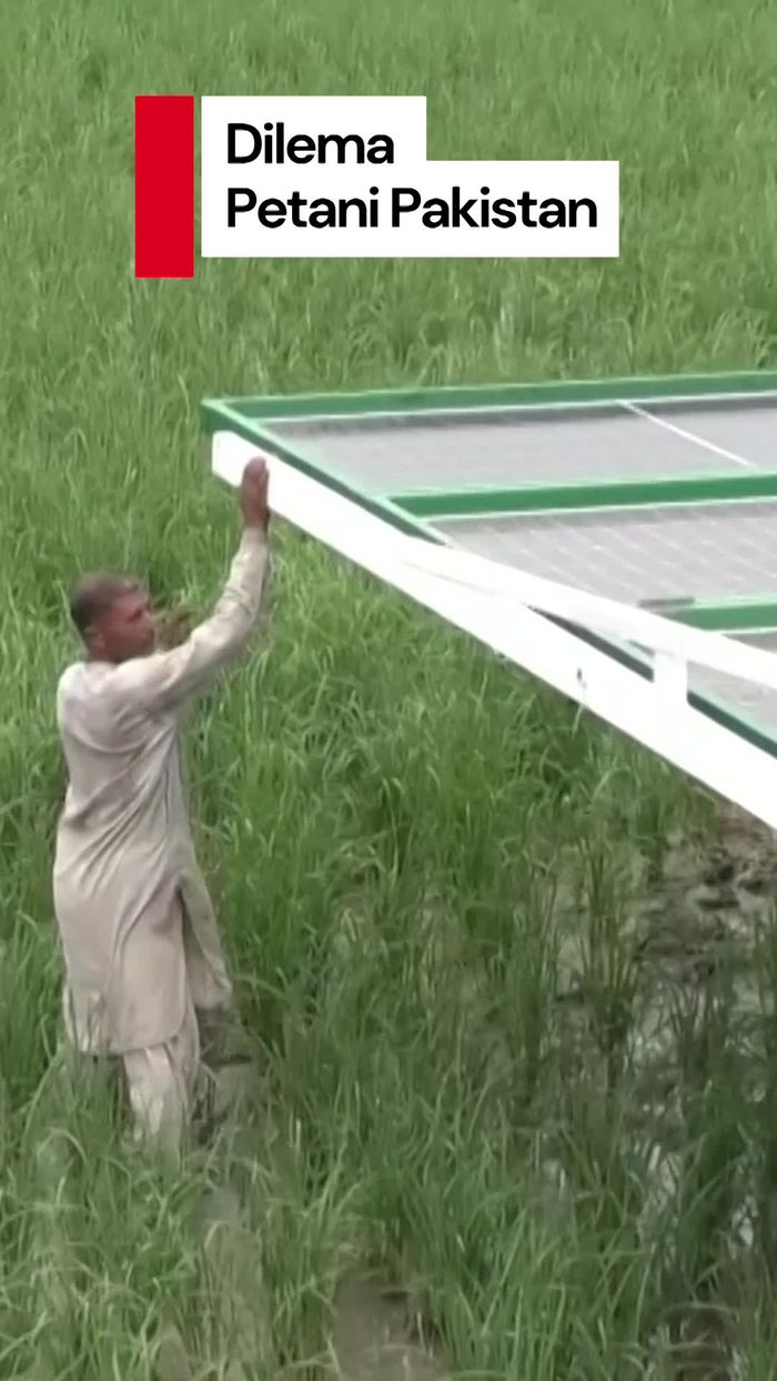 Video Dilema Petani Pakistan: Pompa Surya Murah, Tapi Air Tanah Menipis