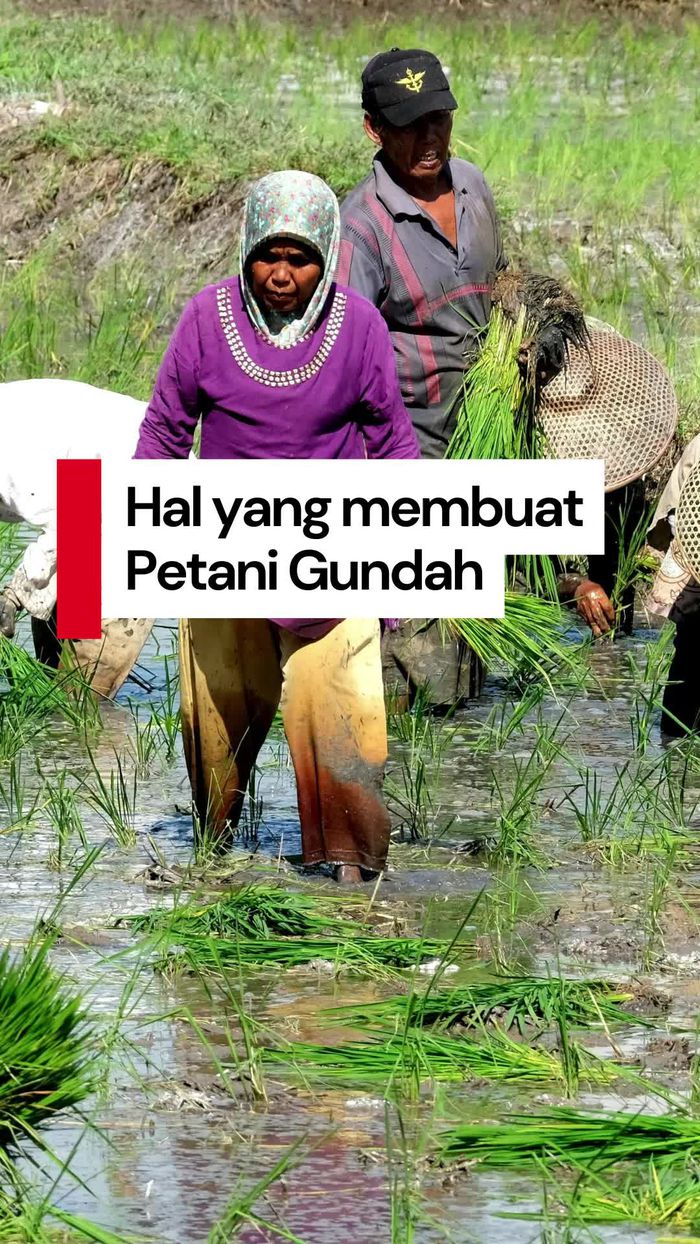 Video: Pakar Sebut Ada yang Bikin Petani Indonesia Gundah, Apa Itu?