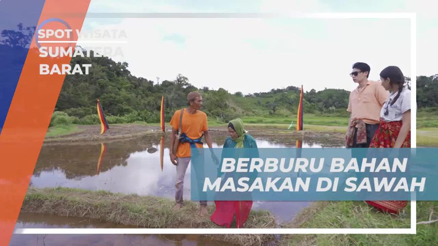 Mendalami Keberagaman Bahan Masakan di Sawah Sumatera Barat