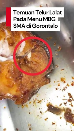 Video: Heboh Temuan Larva Lalat Pada Menu MBG SMA di Gorontalo