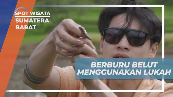 Berburu Belut dengan Lukah Tradisional di Sawah Sumatera Barat