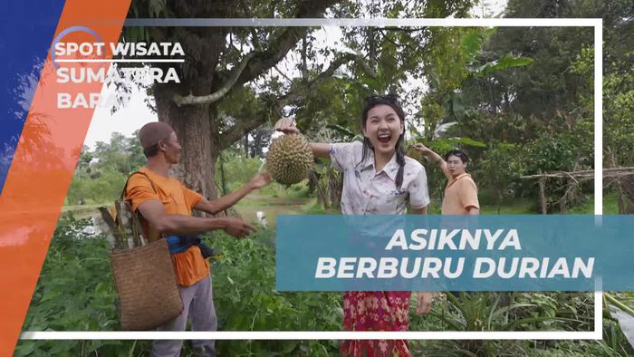 Berburu Durian Nikmat di Kebun Sambil Berpetualang di Sumatera Barat