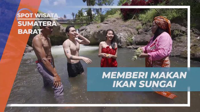 Memberi Makan Ikan Sungai yang Melimpah di Lubuak Liwuang, Sumatera Barat