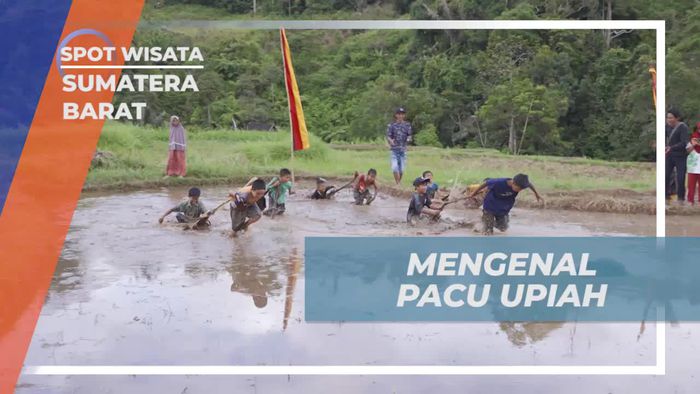 Pelajari Pacu Upiah, Permainan Tradisional Khas Yang Menarik di Sumatera Barat