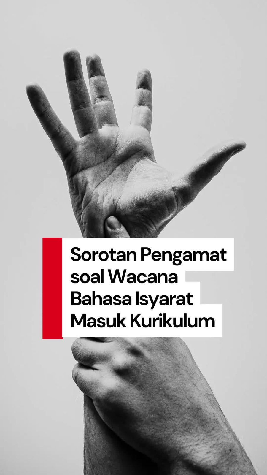 Video: Kata Pengamat soal Wacana Bahasa Isyarat Masuk Kurikulum