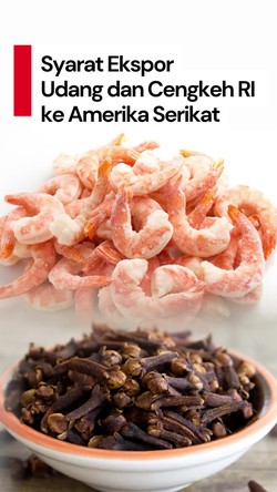 Video: Ekspor Udang dan Cengkeh RI ke AS Dibatasi, Bukan Dihentikan Total