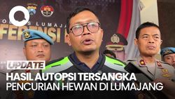 Video: Ini Hasil Autopsi Jenazah Tersangka Pencuri Hewan di Lumajang