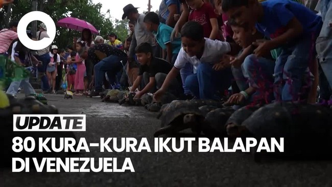 Video: Tradisi Unik Warga Venezuela Lomba Balap Kura-kura