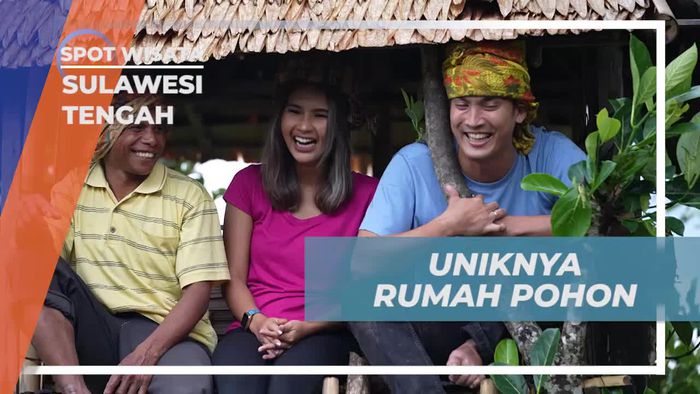Menggali Keunikan Rumah Pohon yang Ramah Alam di Sulawesi Tengah