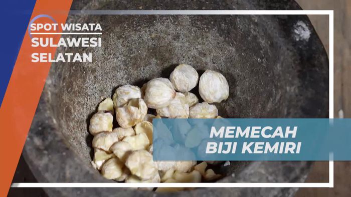 Memecahkan Biji Kemiri untuk Sate Kemiri di Sulawesi Selatan