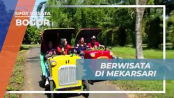 Berpetualang di Taman Buah Mekarsari, Bogor